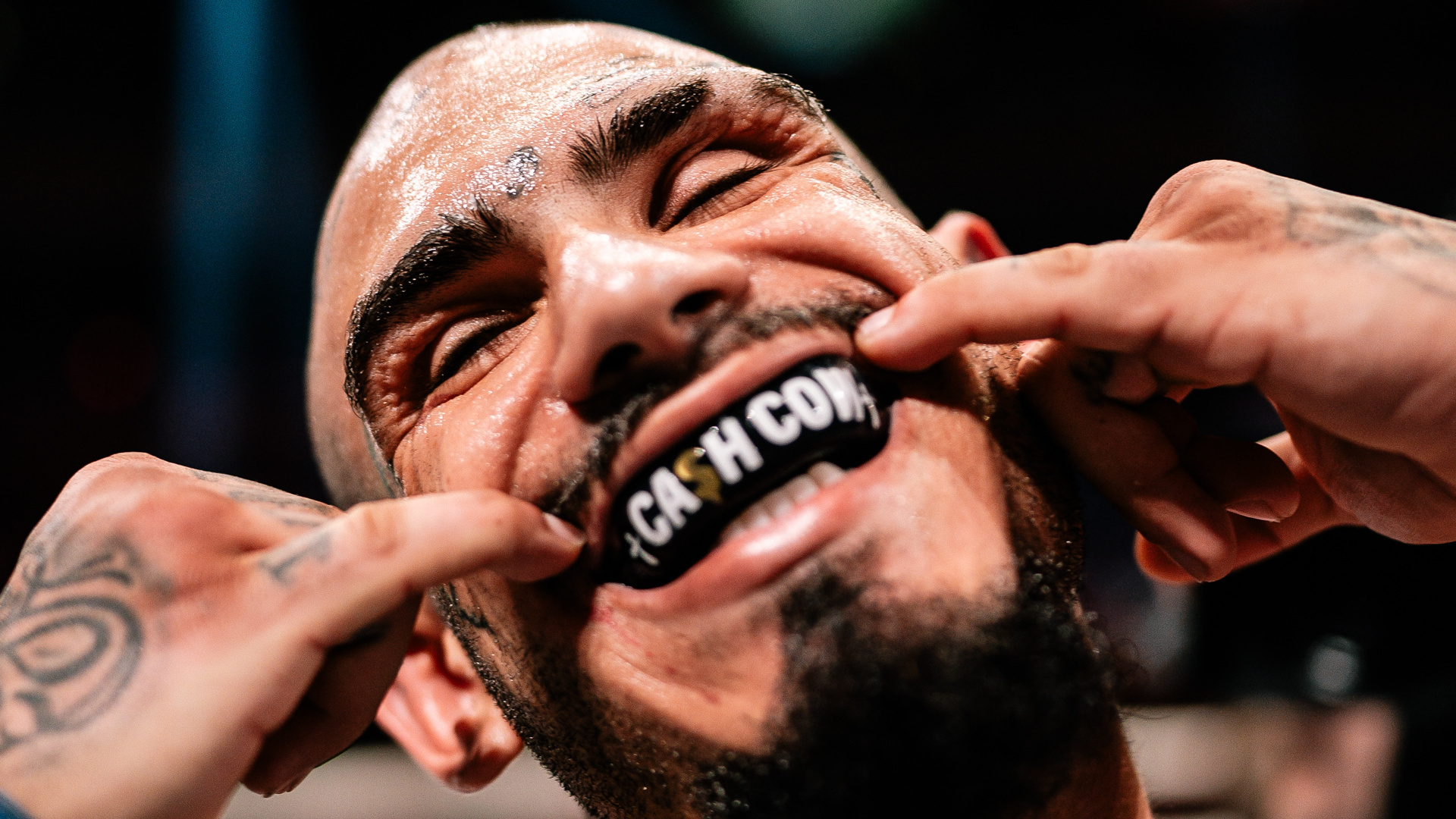 All the stars are out for BKFC 93 on Friday in Hollywood, FL!