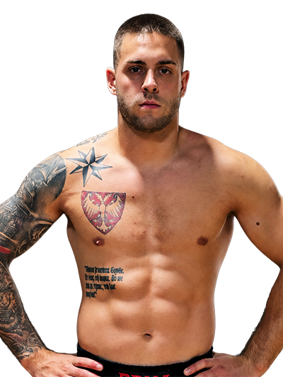 Ficha de strahinja karabegovic en bkfc